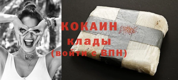 индика Горно-Алтайск