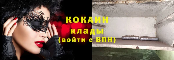 индика Горно-Алтайск