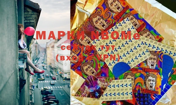 индика Горно-Алтайск