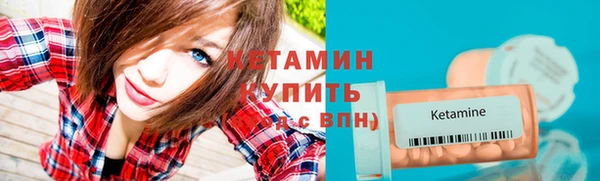 индика Горно-Алтайск