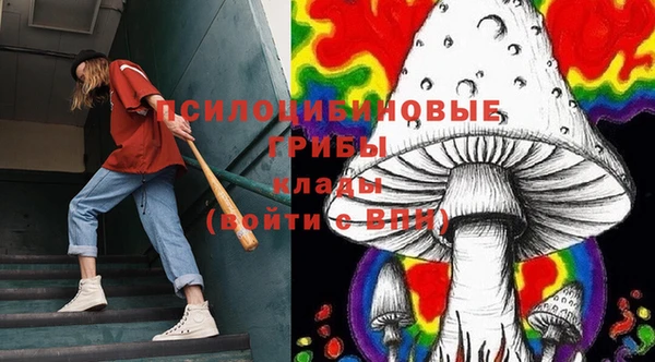 прущие крисы Горнозаводск