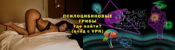 индика Горно-Алтайск