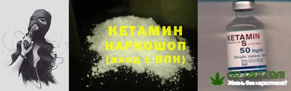 индика Горно-Алтайск