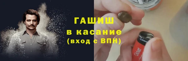 индика Горно-Алтайск