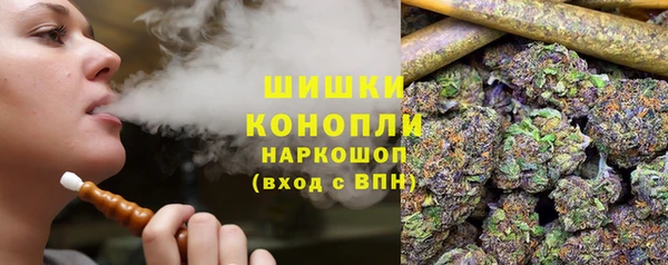 индика Горно-Алтайск