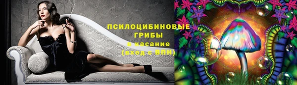 прущие крисы Горнозаводск